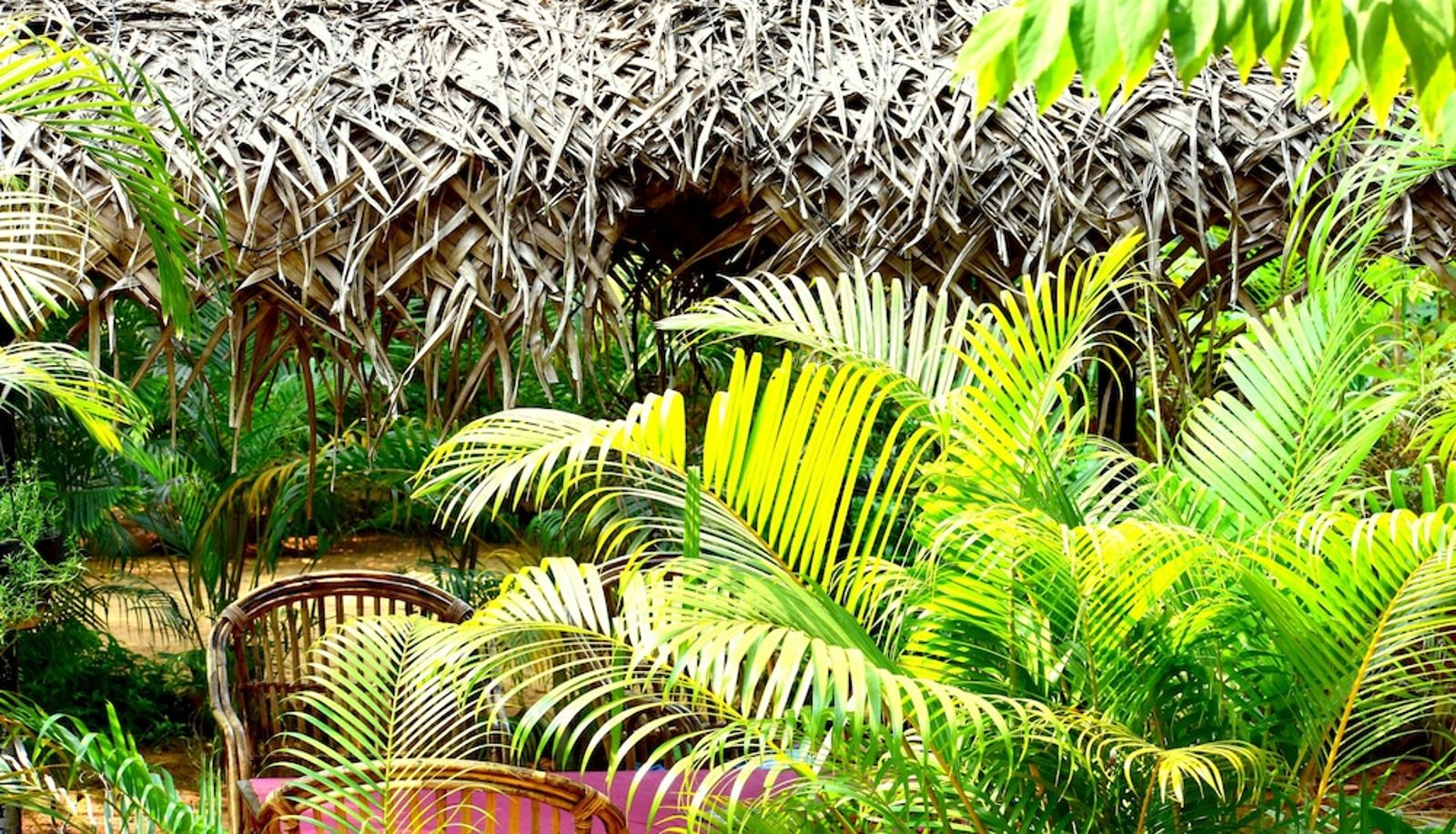 Info - Patnem Garden Resort