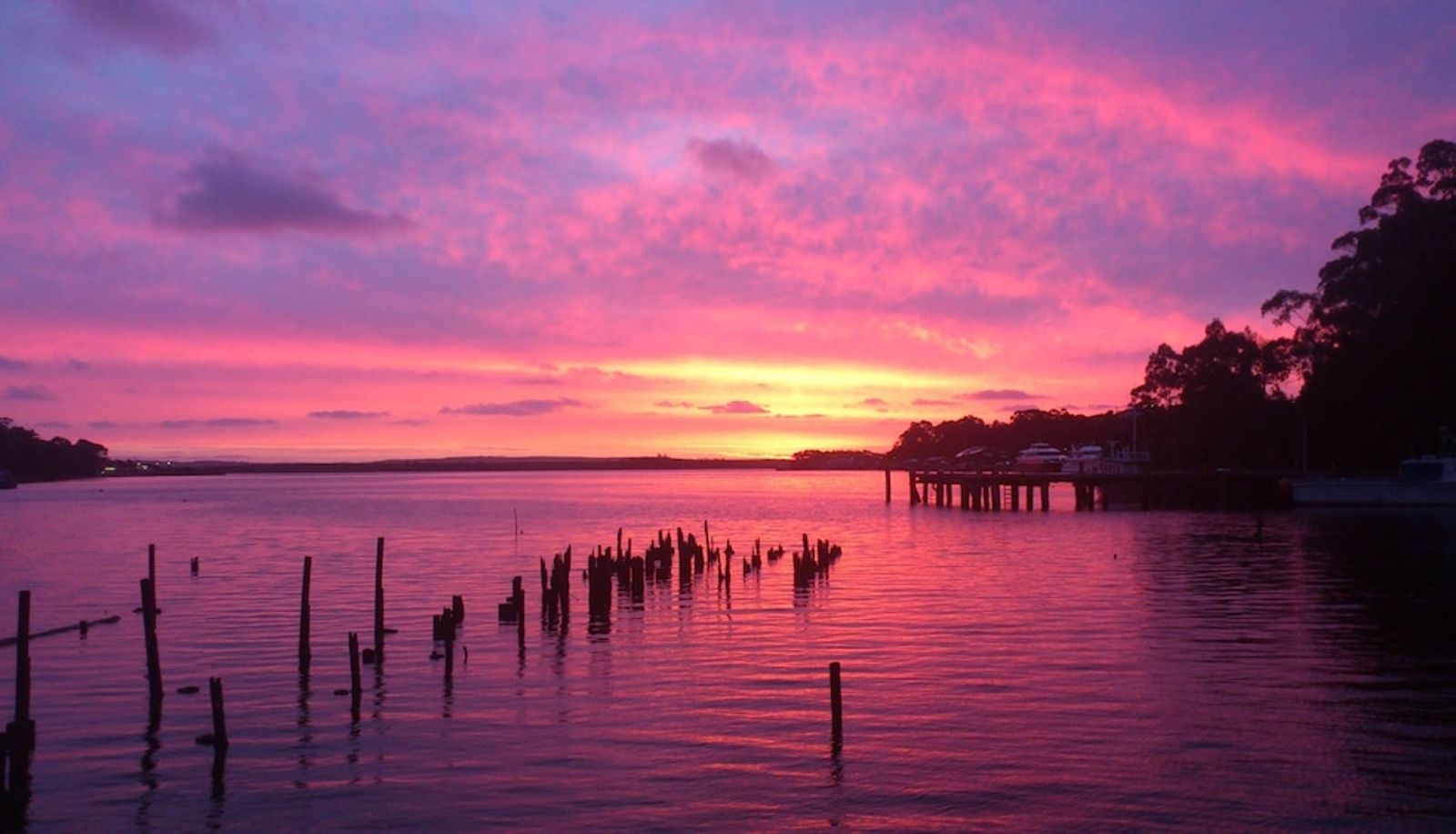 Info - Risby Cove