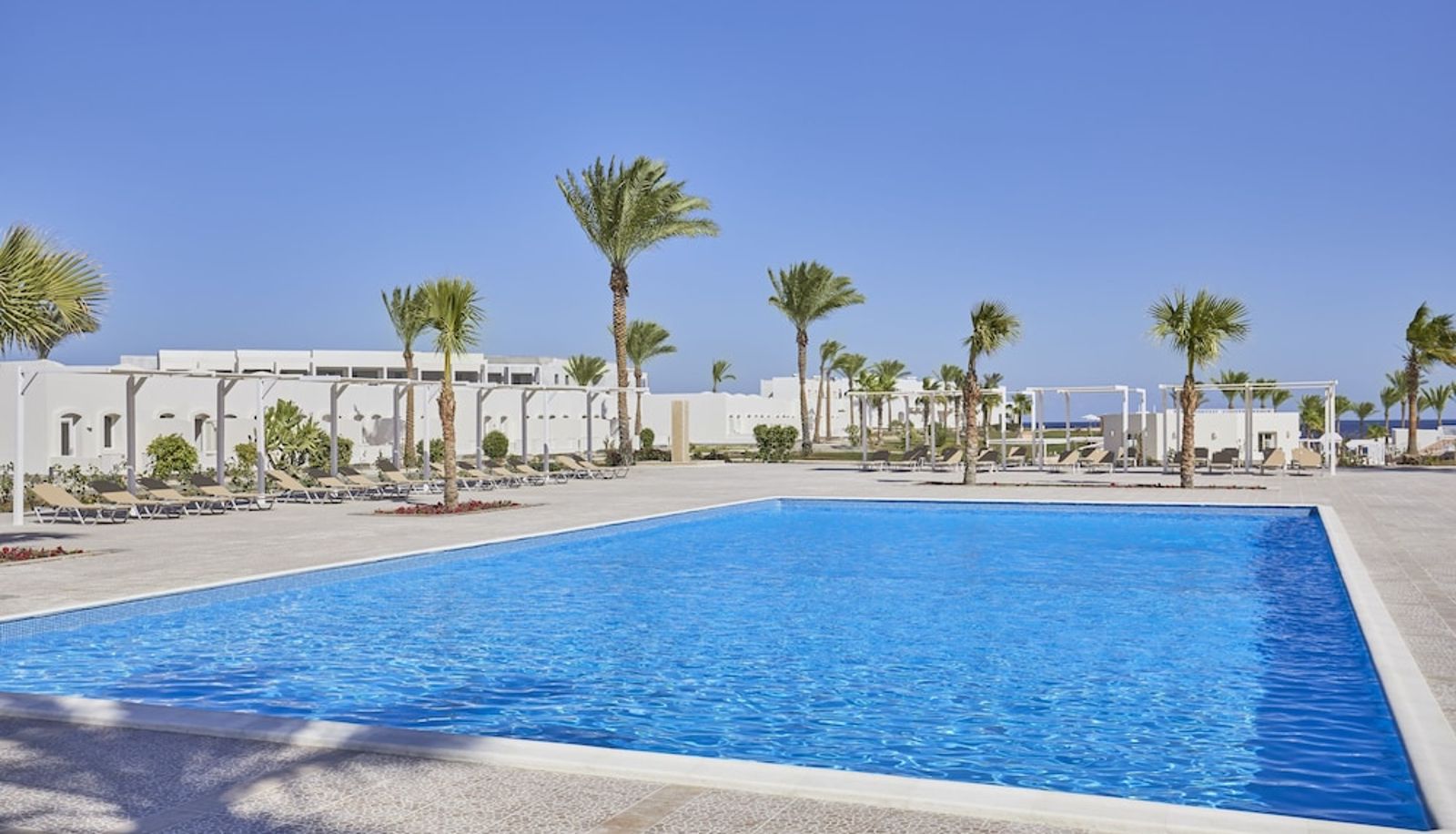 Piscina - JAZ Neo Reef Marsa