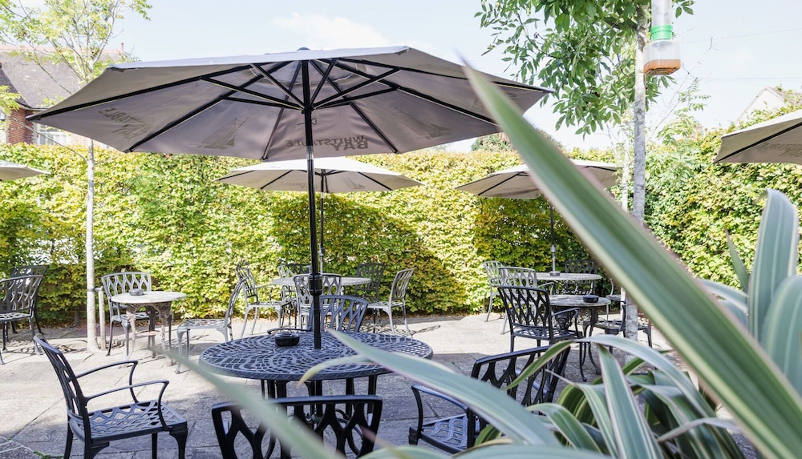 Restaurant - New Flying Horse