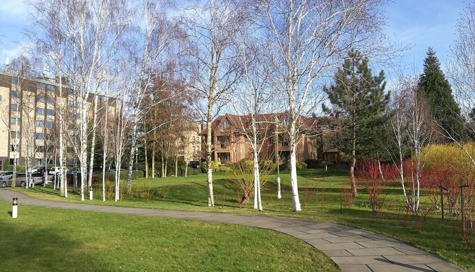 Garden - Gold Rush Apartments