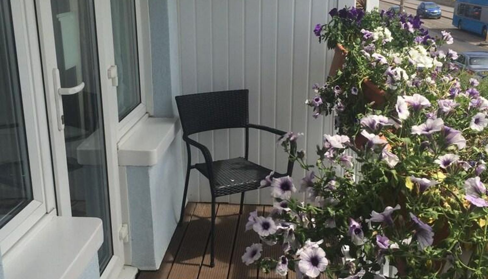 Camera economica (singola) - Waverley Guest House
