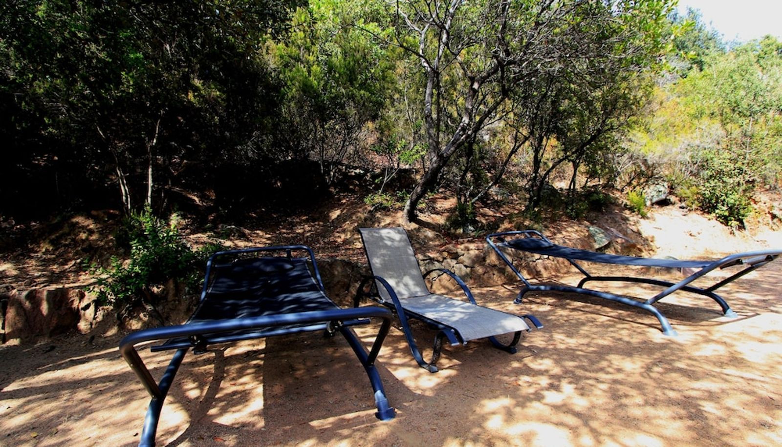 Garden - Hotel Bella Vista