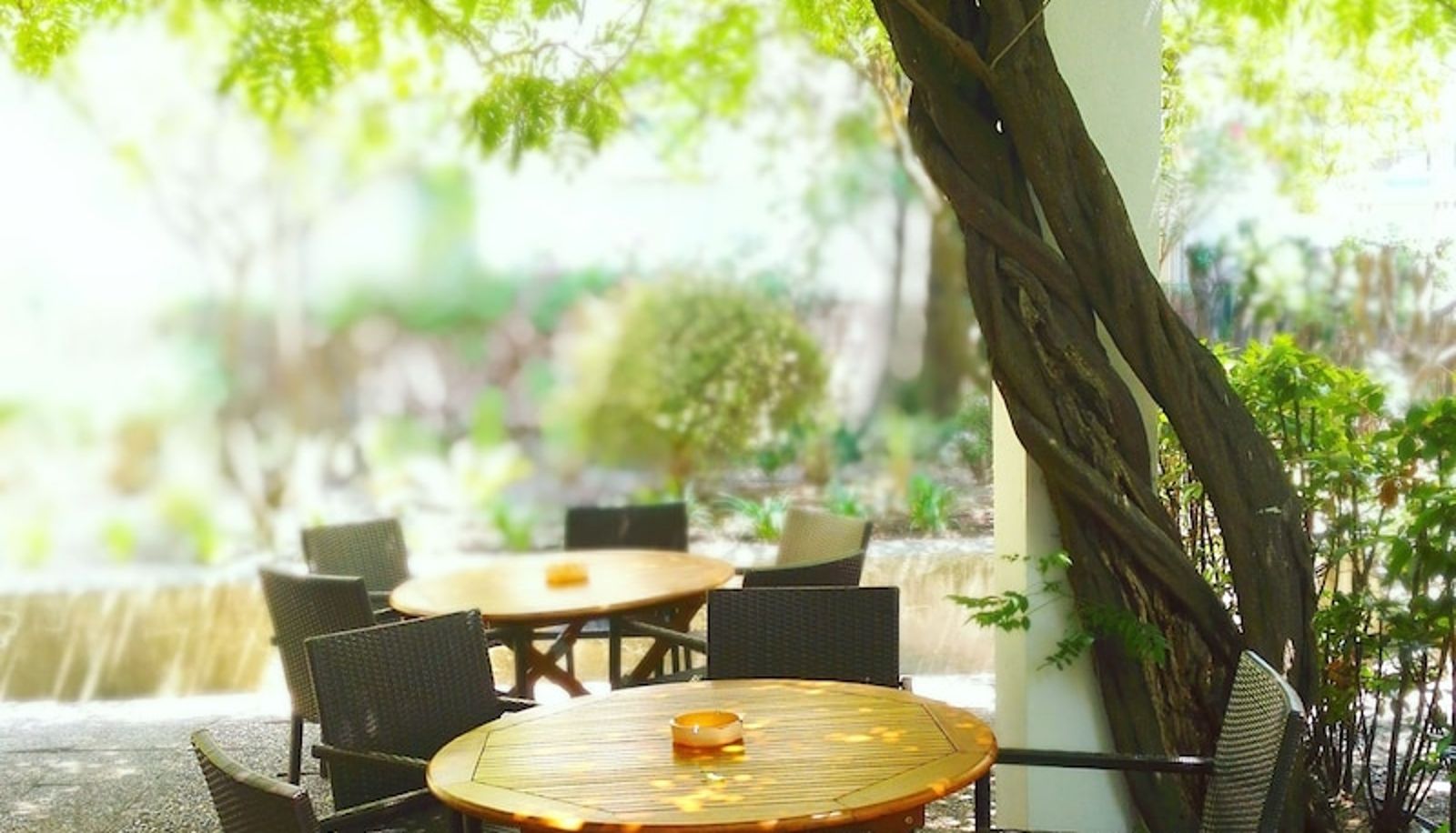 Jardín - Hotel Alexandre III