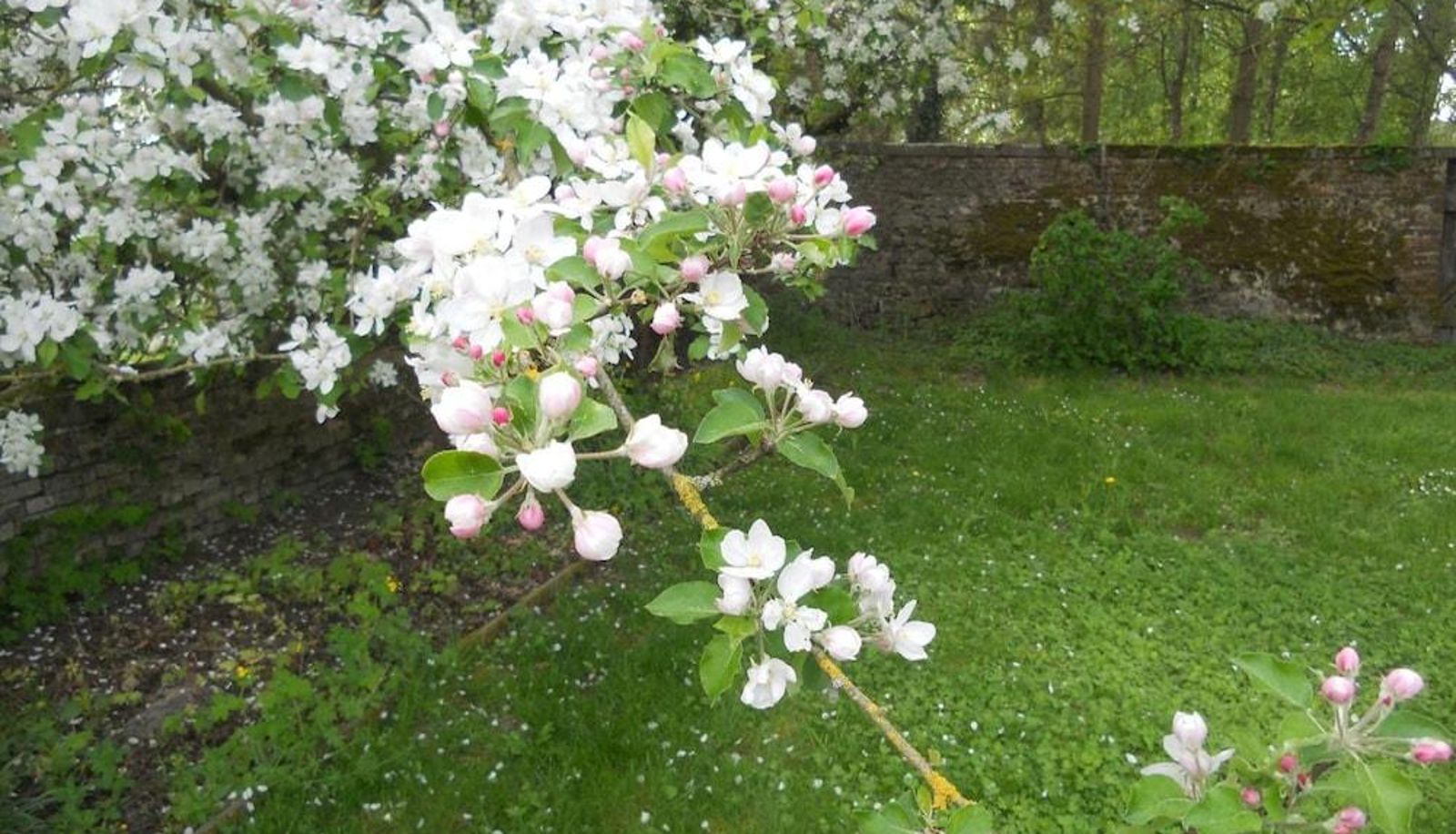 Omgeving - Ferme De Guersignies