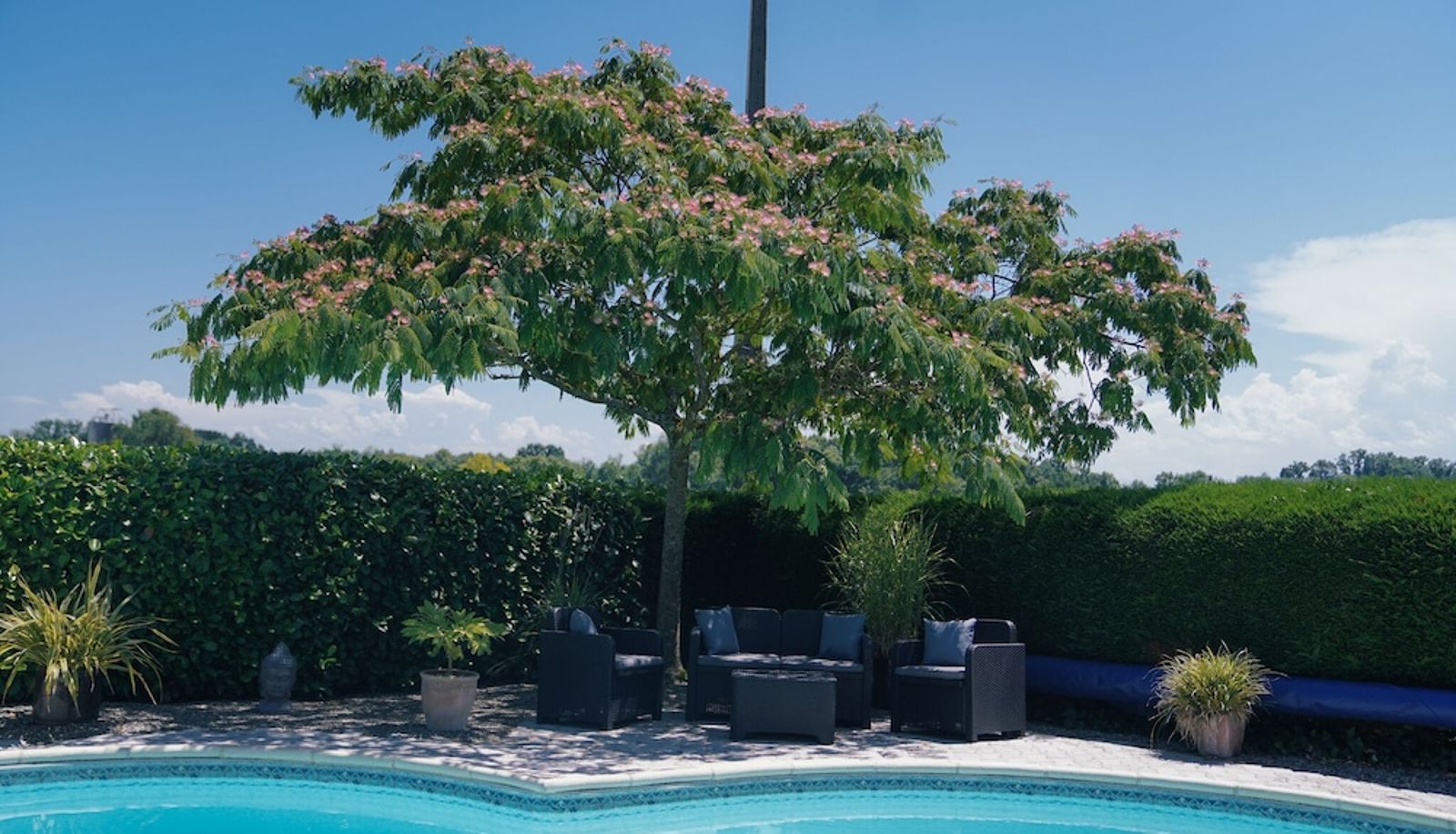 Pool - Michouat Chambre D'Hotes