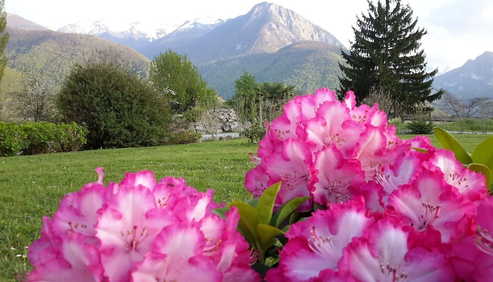 Garten - Les Hauts de Hurlevents - Le Buffalo