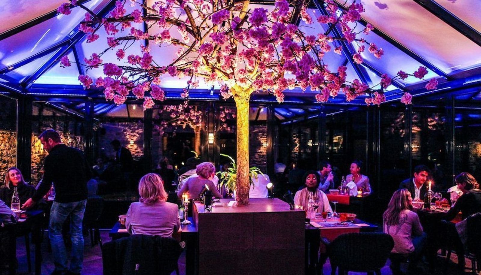 Restaurant - Le Clos des Vignes