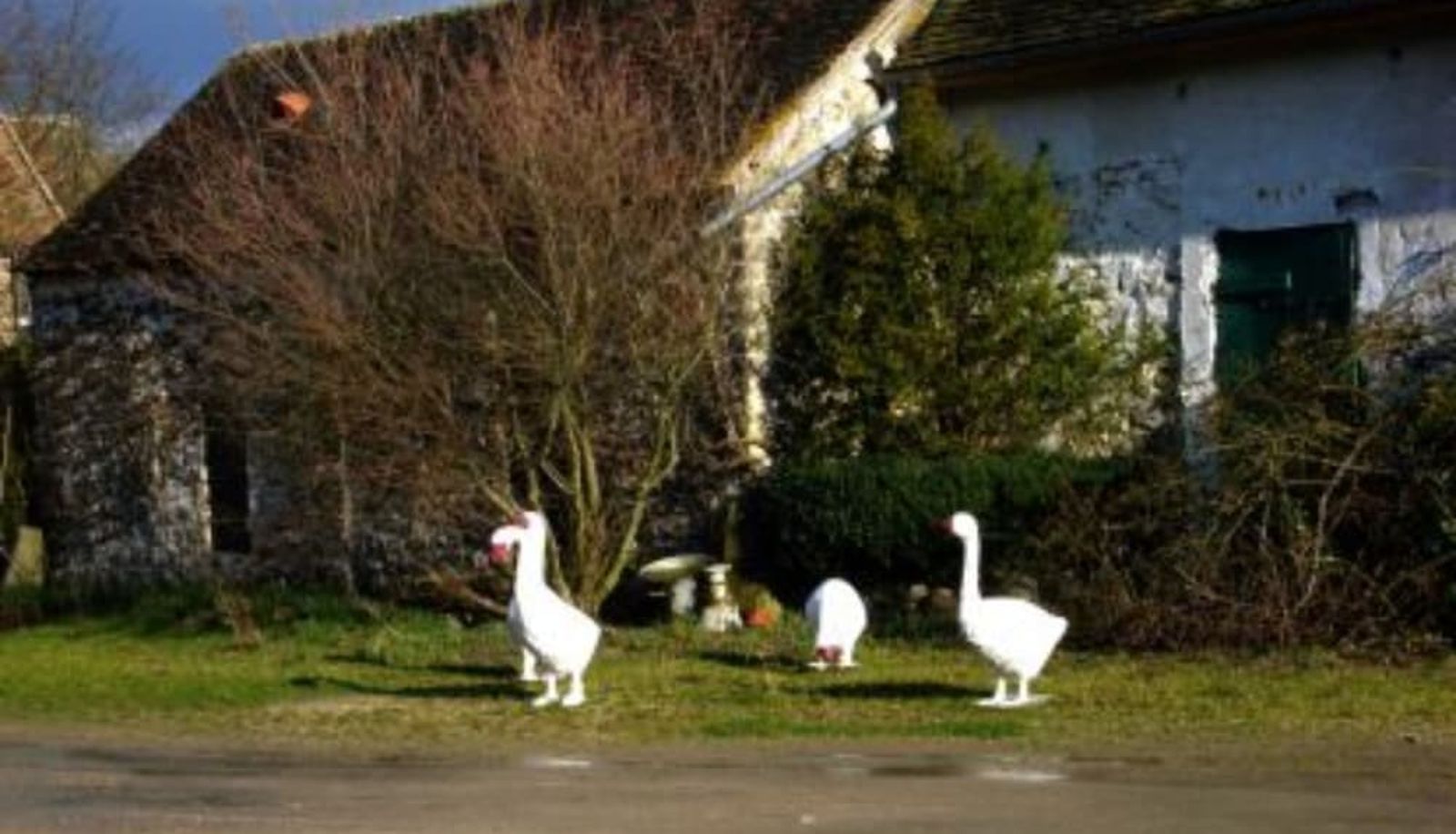 Garten - A La Ferme de la Joie