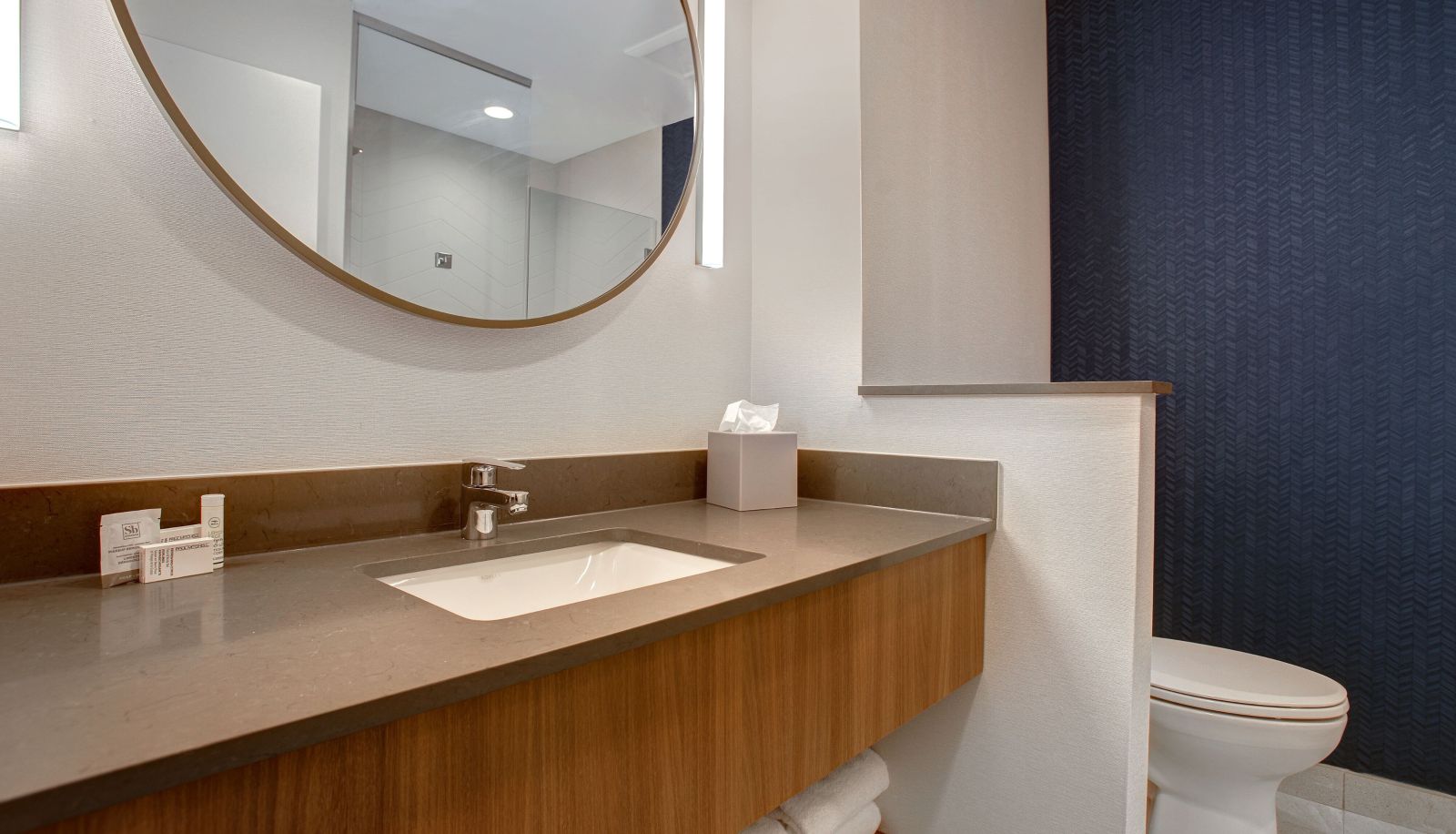 Zimmer - Fairfield by Marriott Inn and Suites Denver Southwest-Littleton