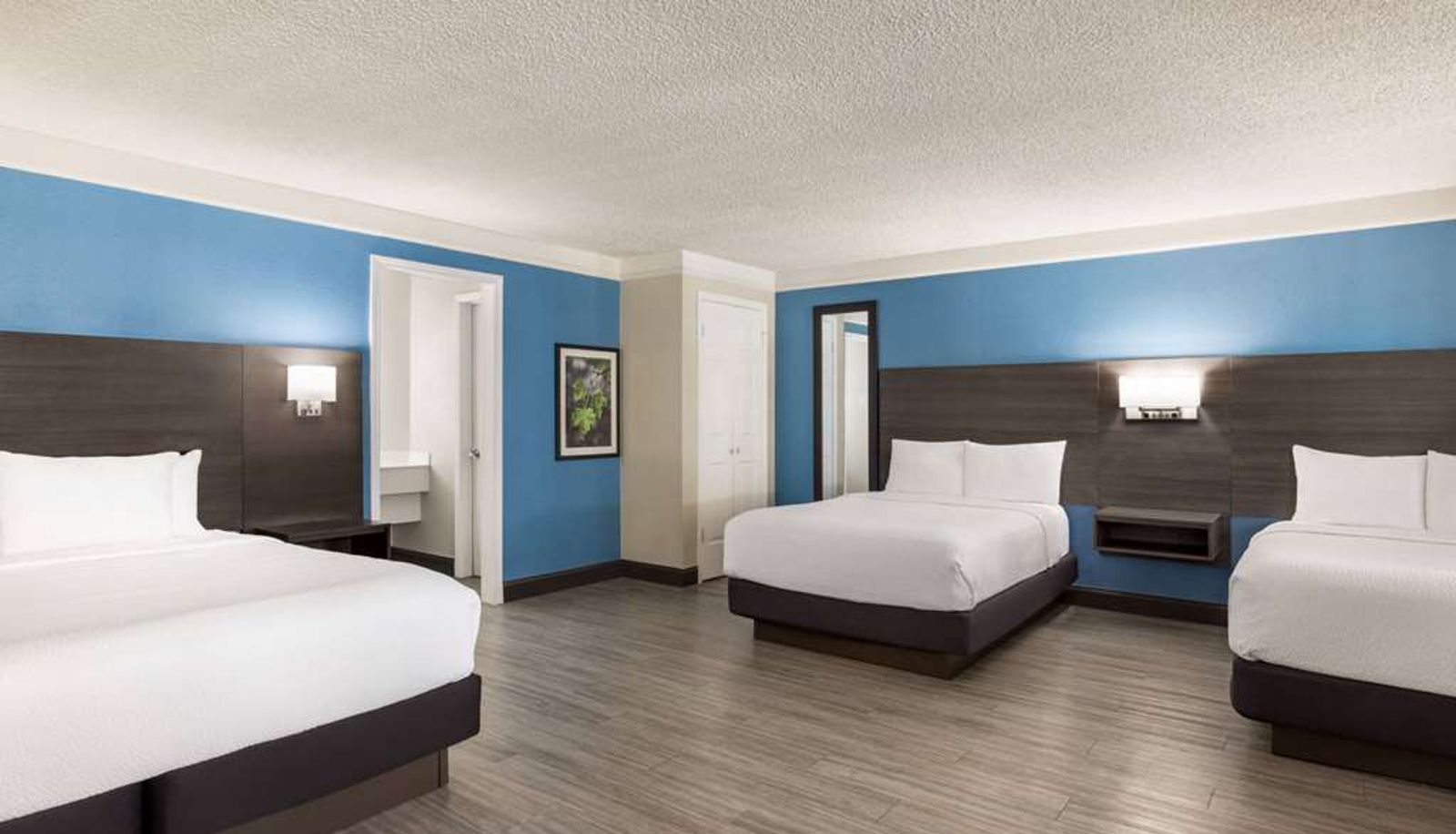 Zimmer - La Quinta Inn by Wyndham San Antonio I-35 N at Toepperwein