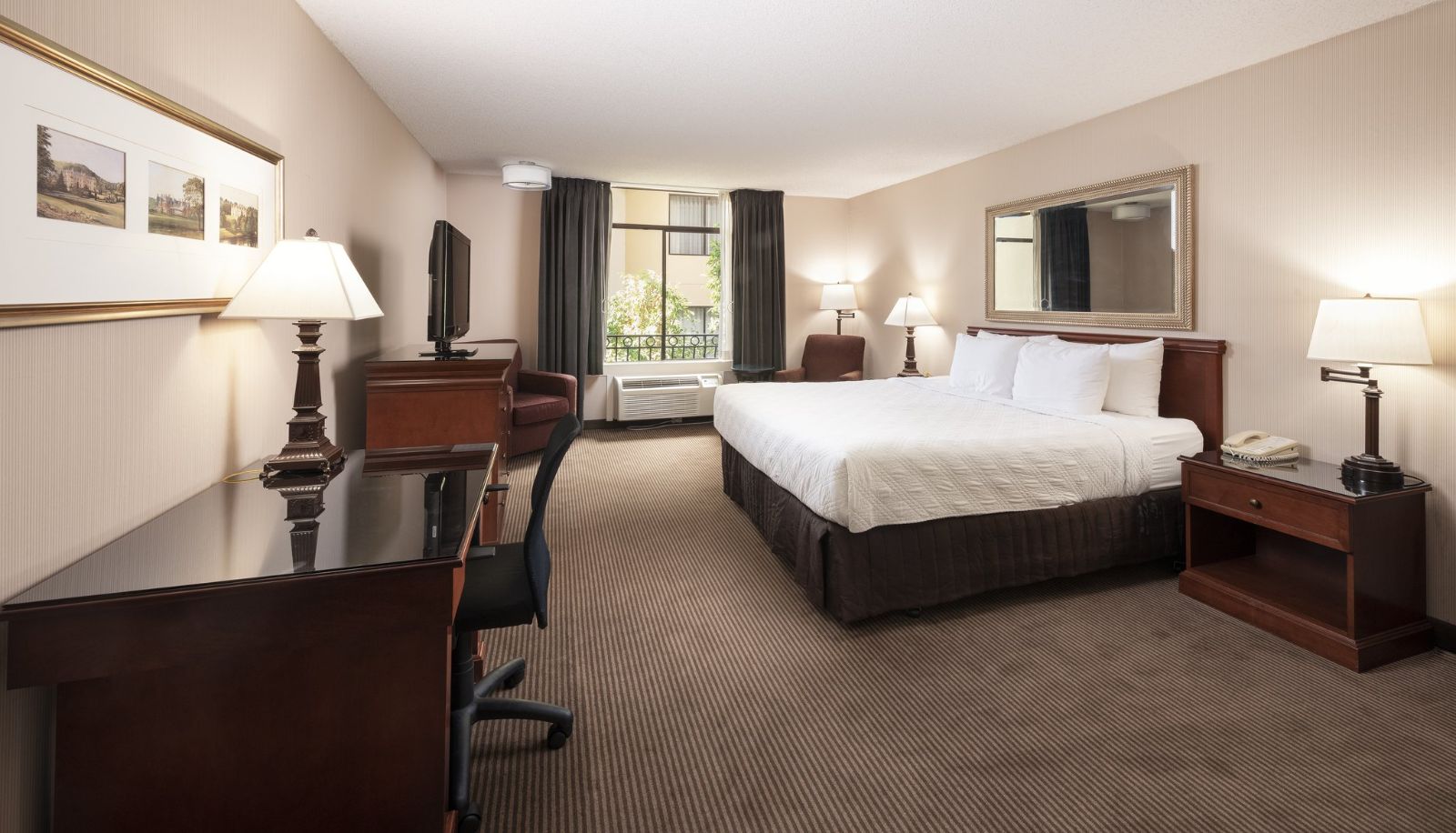 Camera - Concord Plaza Hotel