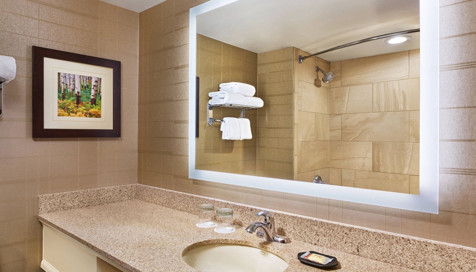 Zimmer - Sheraton Denver West Hotel