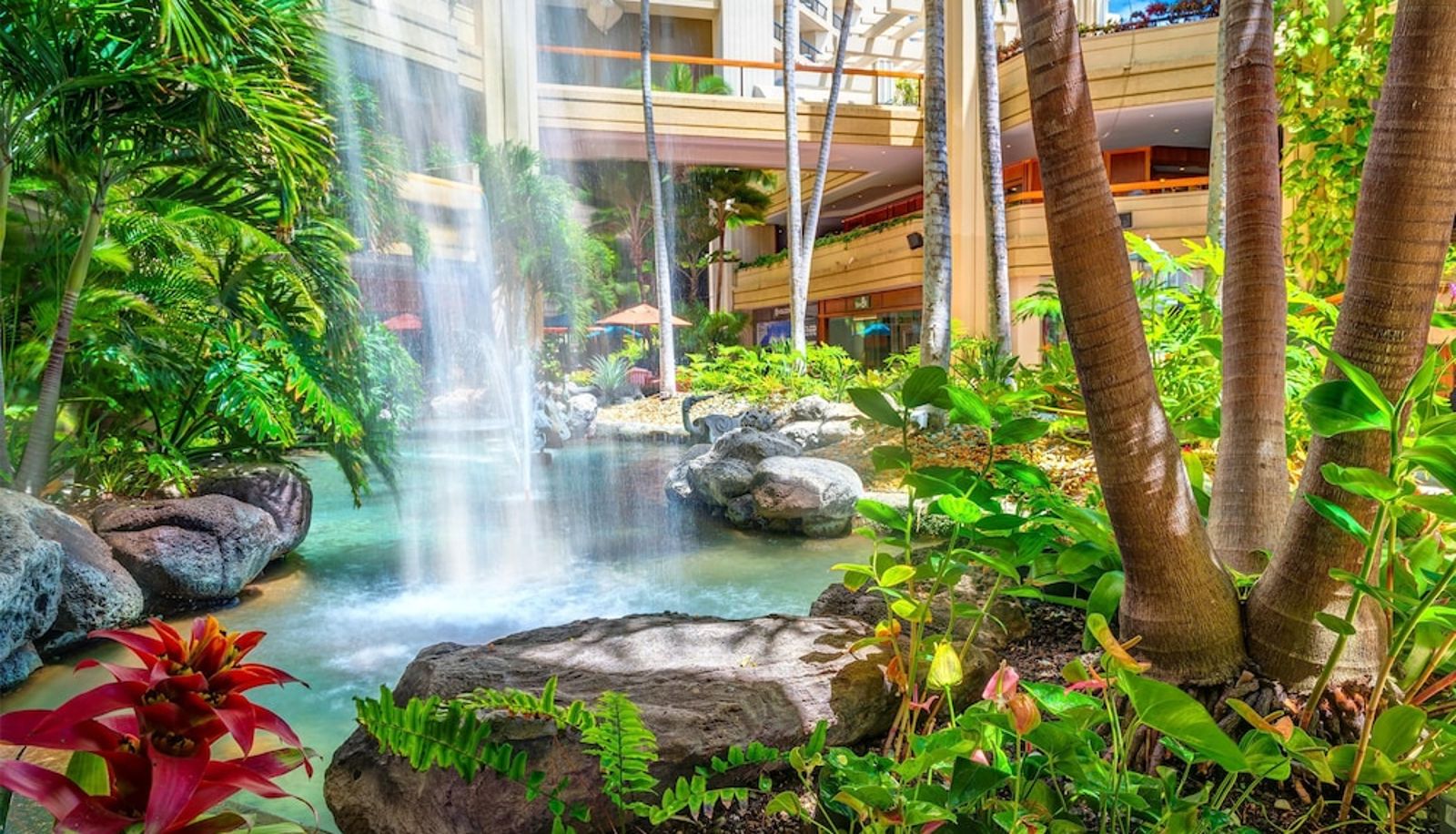 Piscina - Hyatt Regency Waikiki Beach Resort and Spa