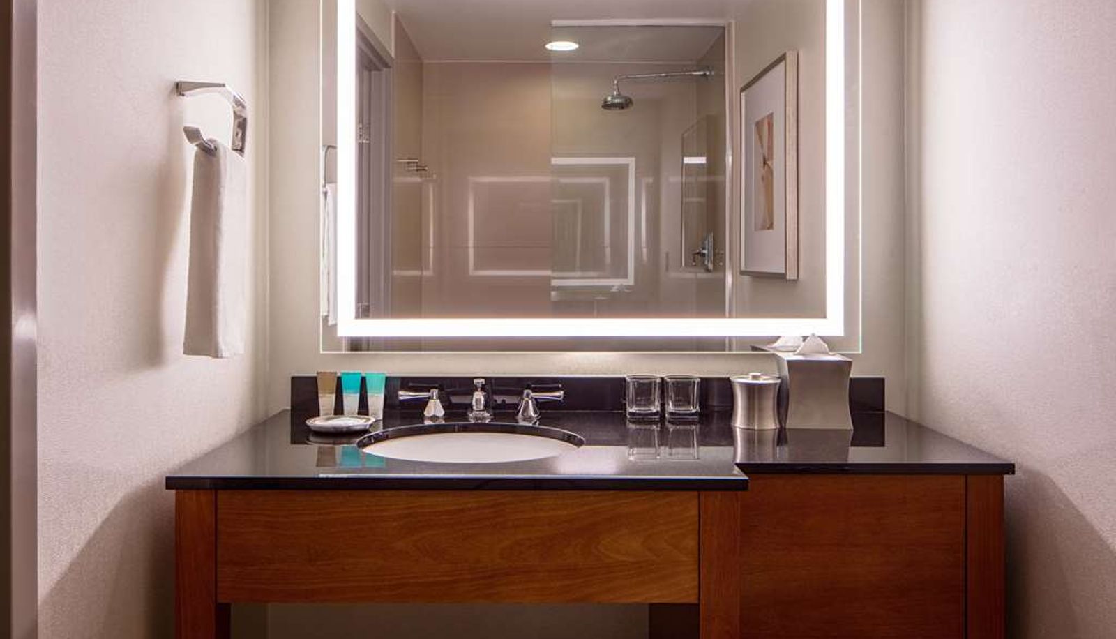 Zimmer - Hyatt Regency Crystal  City
