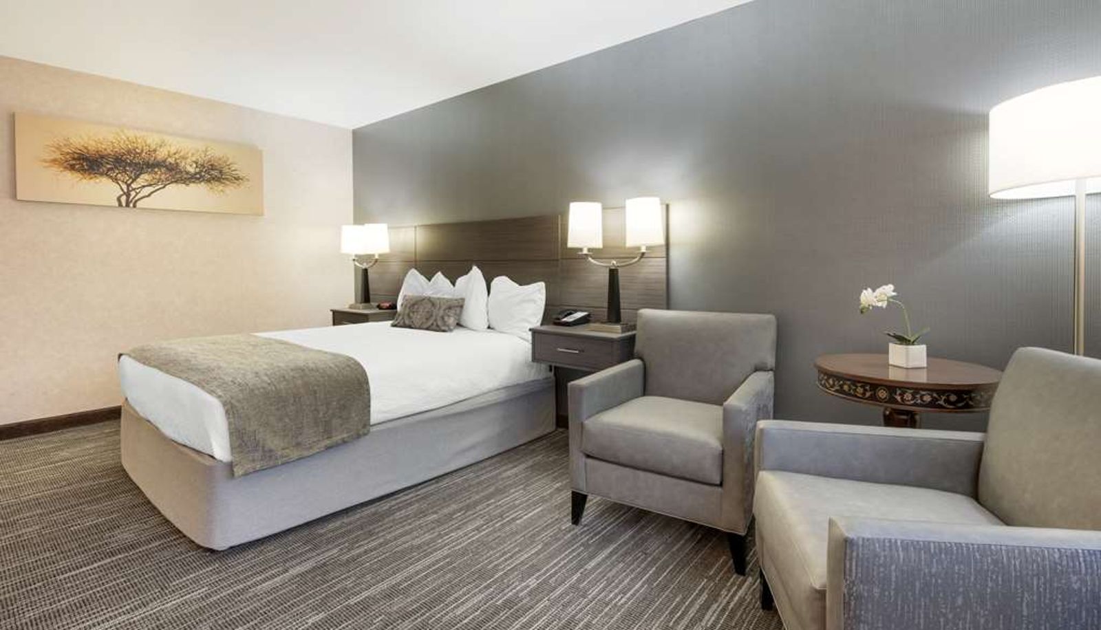 Zimmer - Best Western Plus City Center
