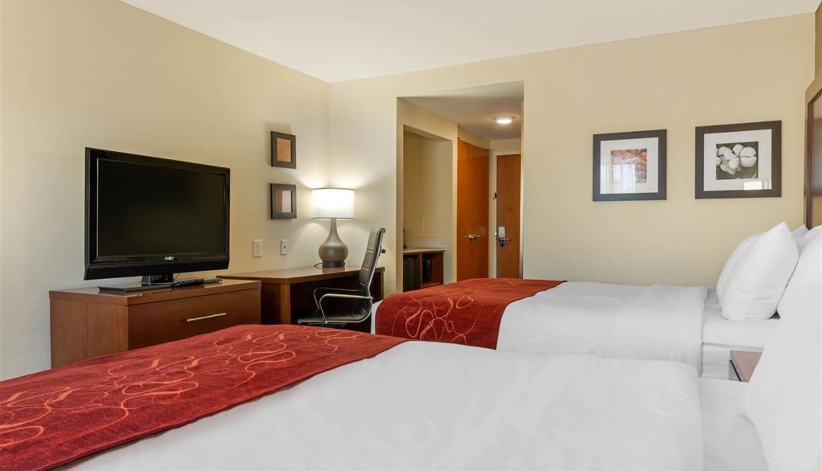Room - Comfort Inn & Suites Macon West