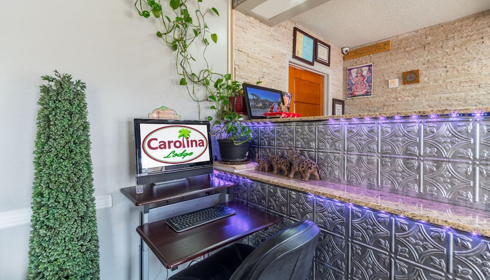 Receptie - Carolina Lodge