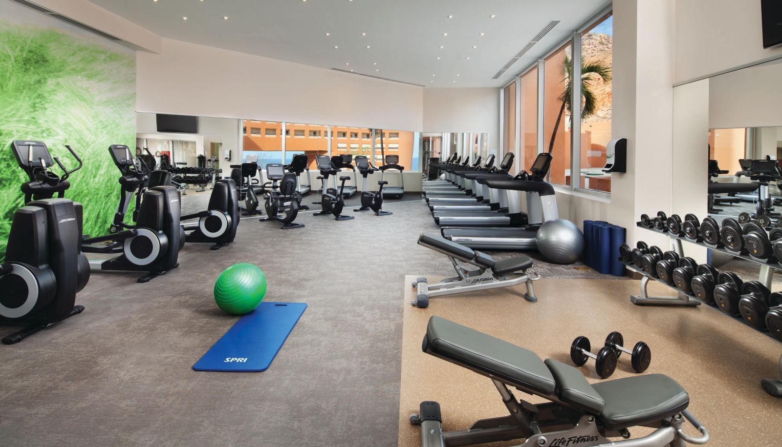 Wellnessruimte - The Westin Los Cabos Resort Villas & Spa