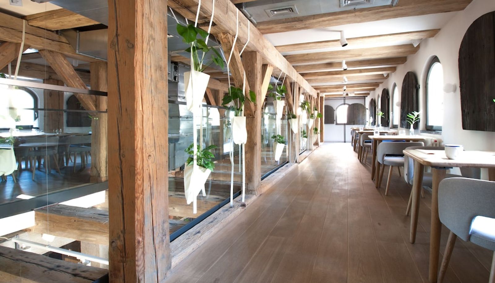 Restaurant - Apartamenty Monka
