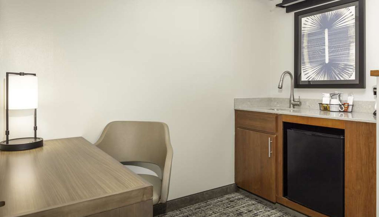 Camera - Hyatt Place Dallas Arlington