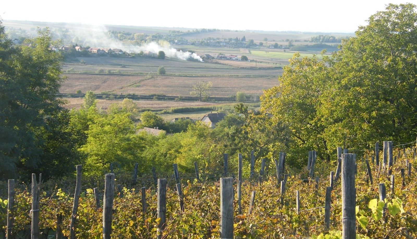 Info - Ferienhaus Leitenhof