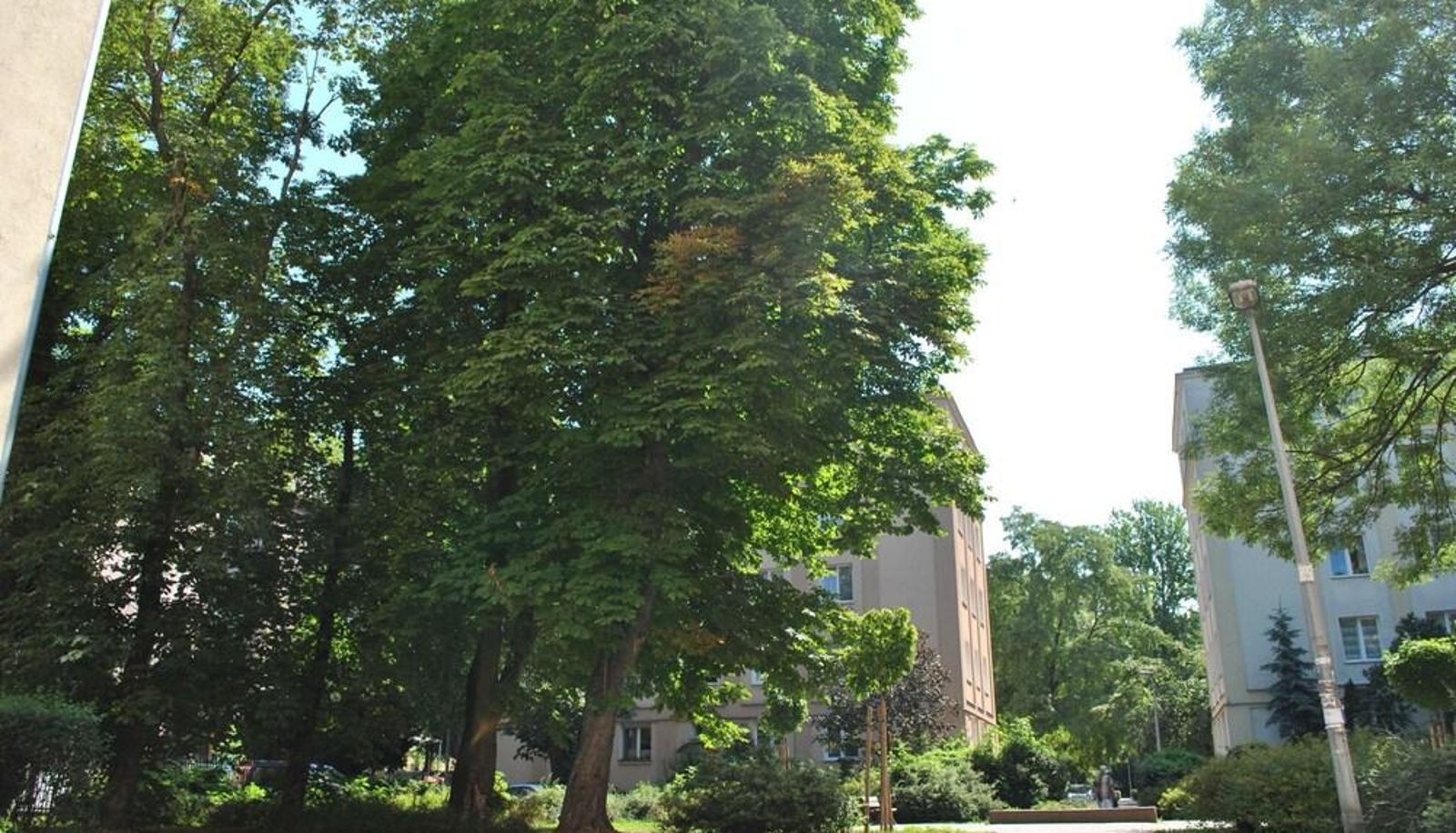 Buitenruimte van het hotel - Apartament Gorczewska Przy Metrze