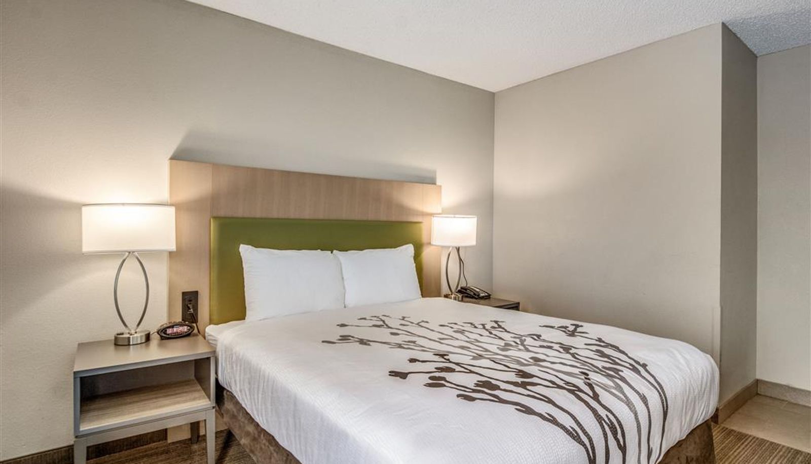 Room - Sleep Inn Fort Mill near Carowinds Blvd.