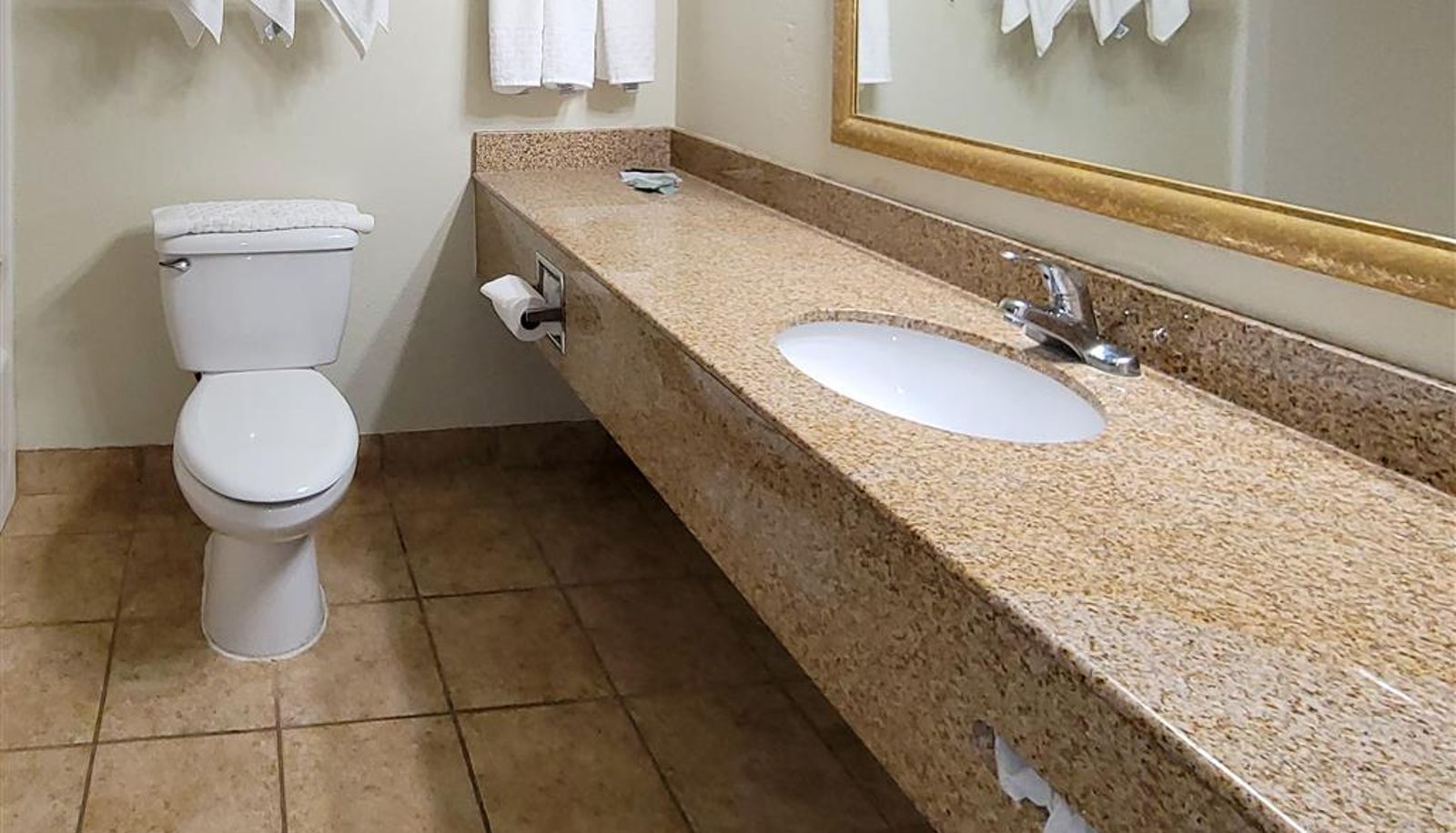 Room - Comfort Inn & Suites Shakopee Downtown Area