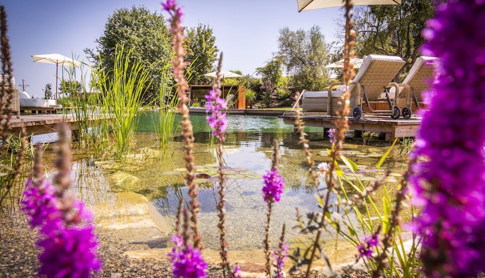 Pool - Golden Hill Country Chalets & Suites