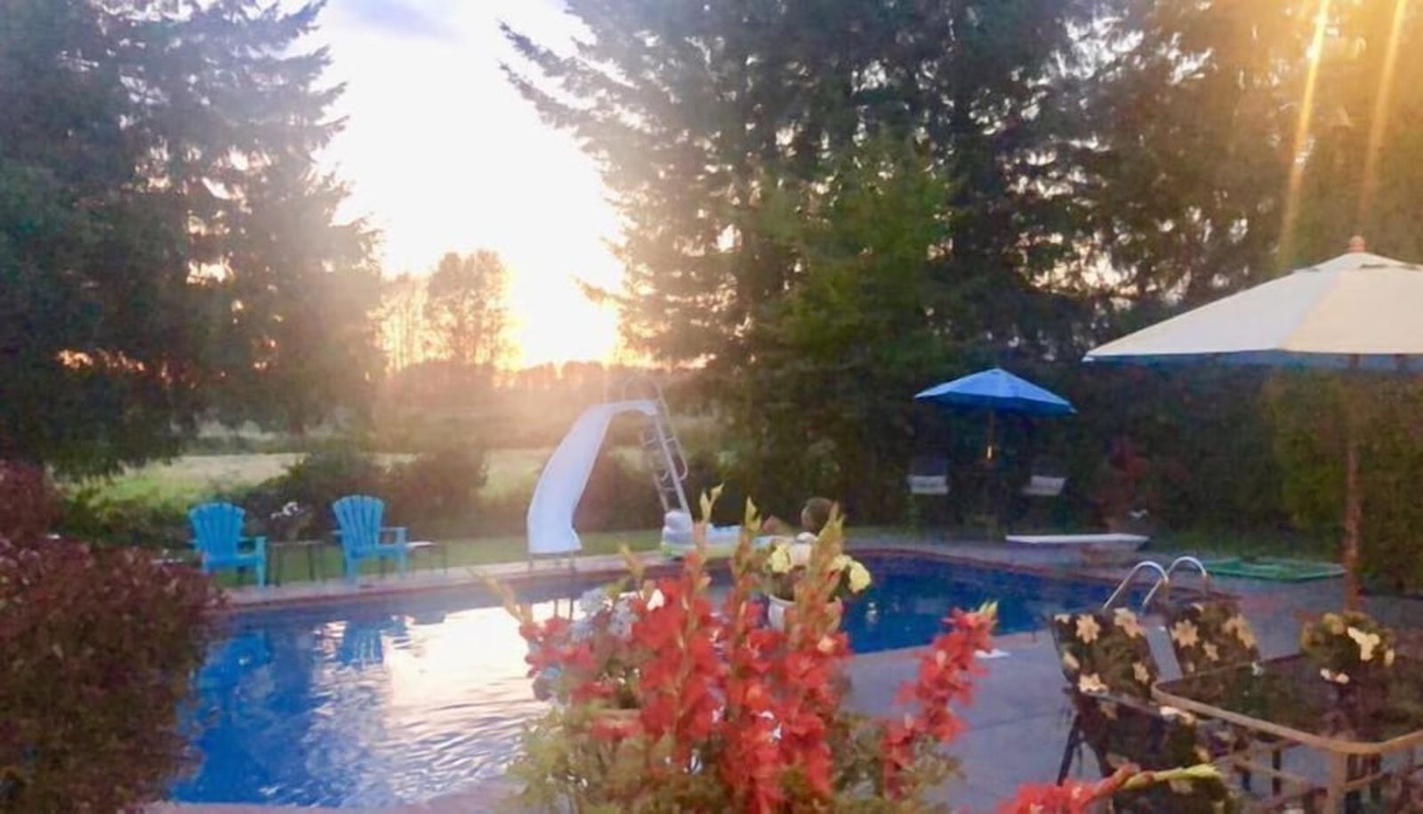 Piscine - Cedar Manor Bed and Breakfast