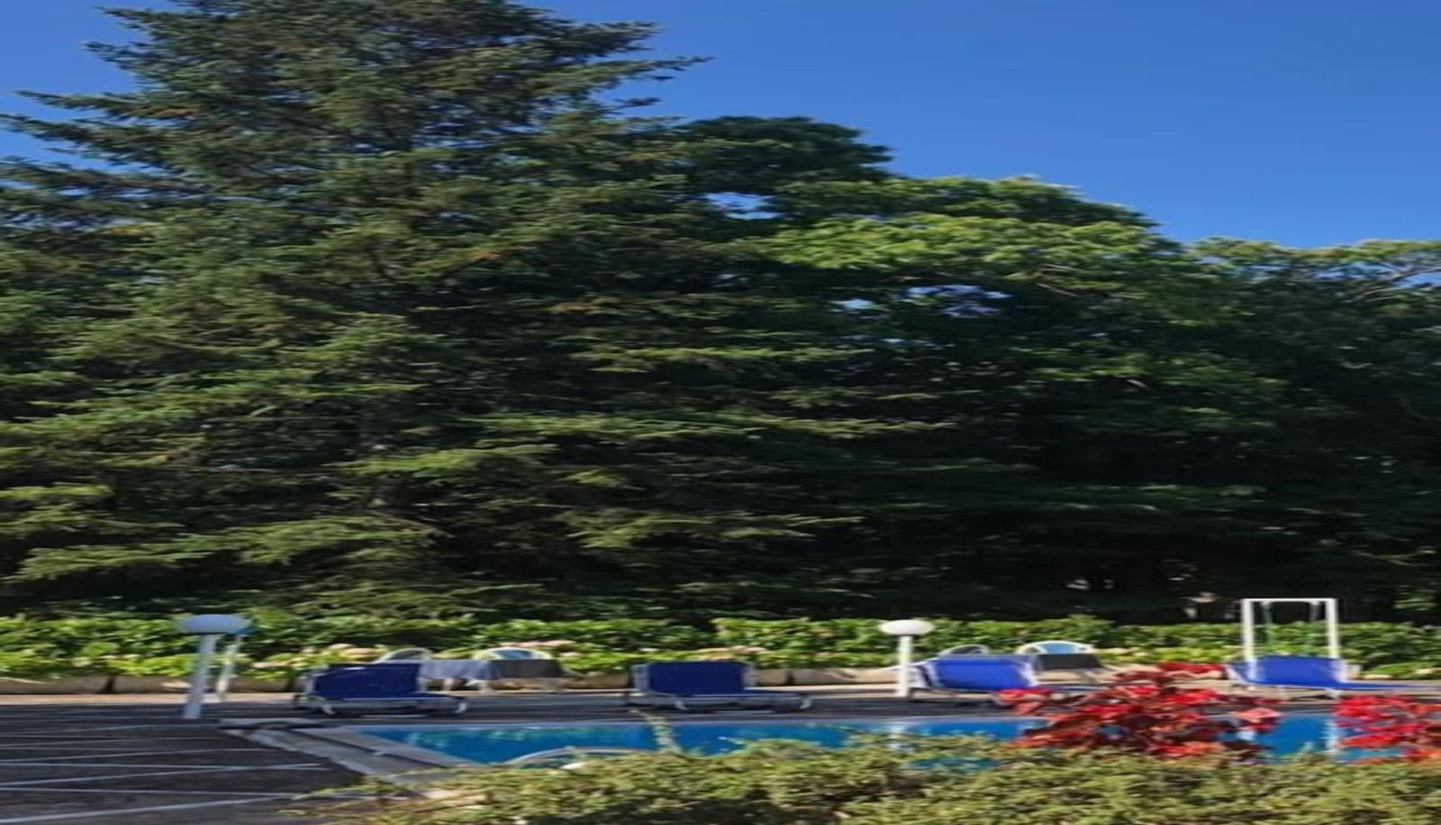 Pool - Mondial Park Hotel
