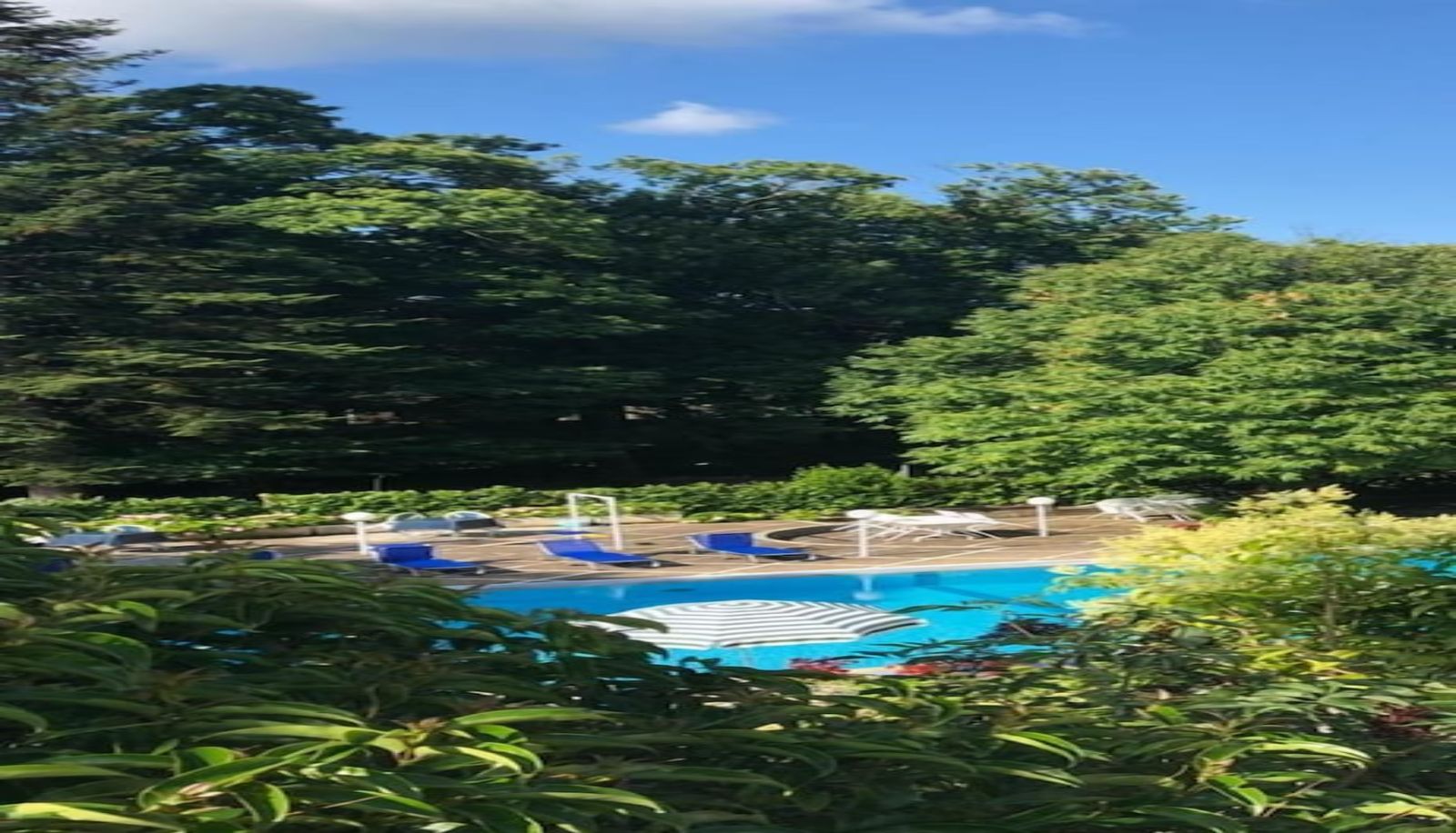 Pool - Mondial Park Hotel