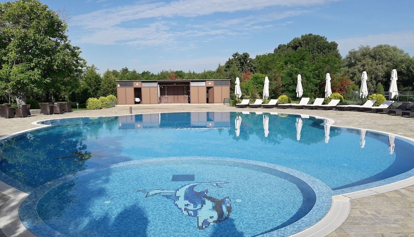 Pool - Hotel Prestige