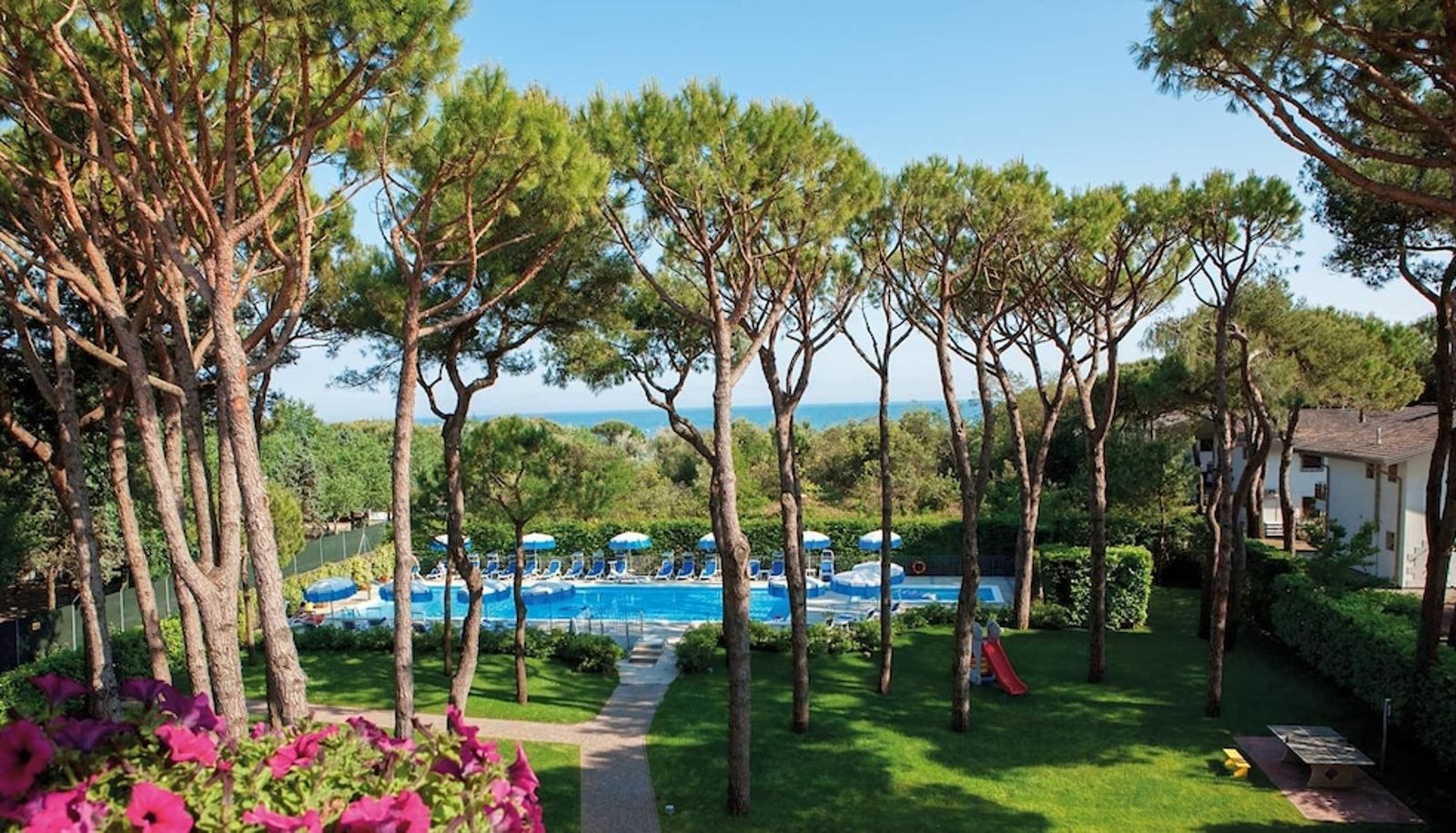 Pool - Aparthotel la Pineta