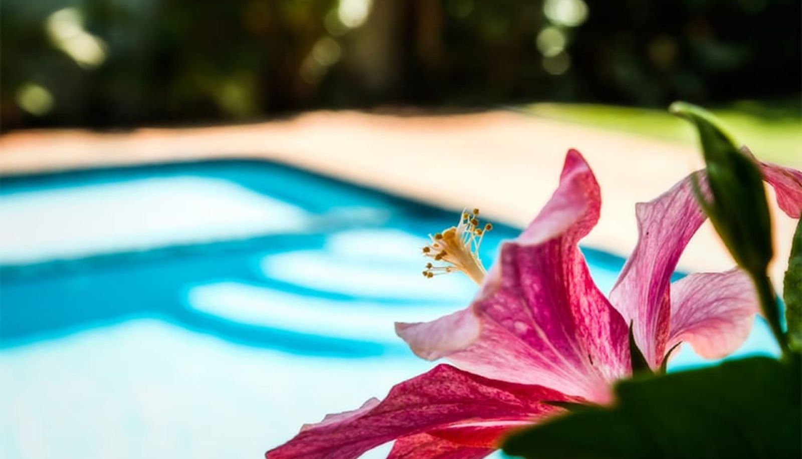 Pool - Coffs Harbour Holiday Apartments