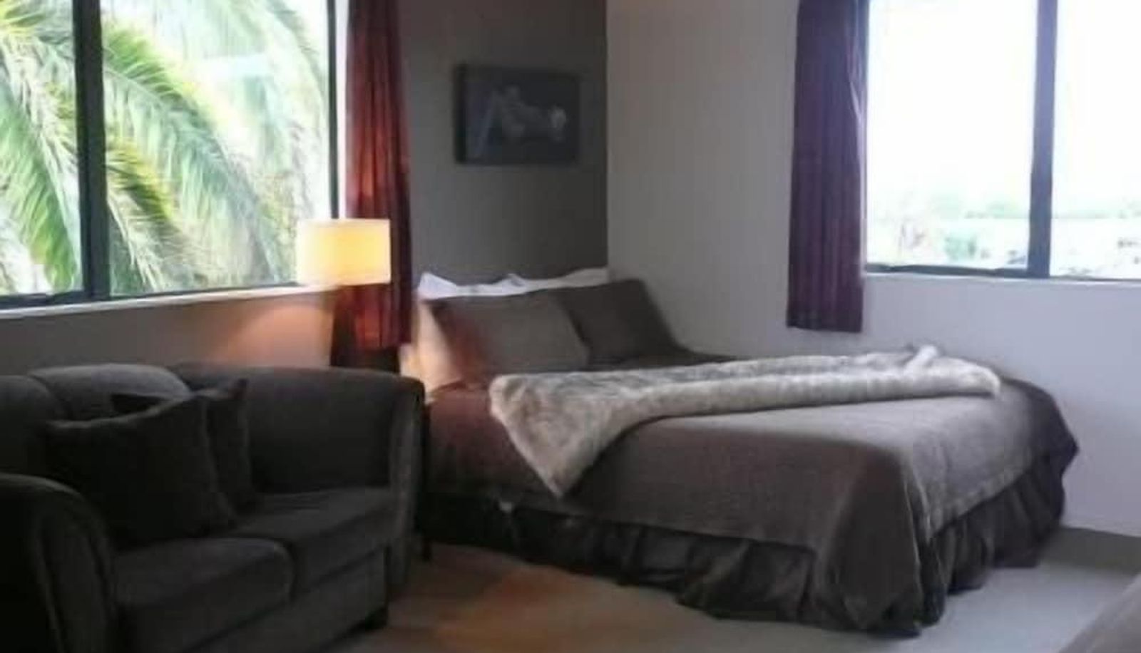 Camera standard - Blenheim Palms Motel