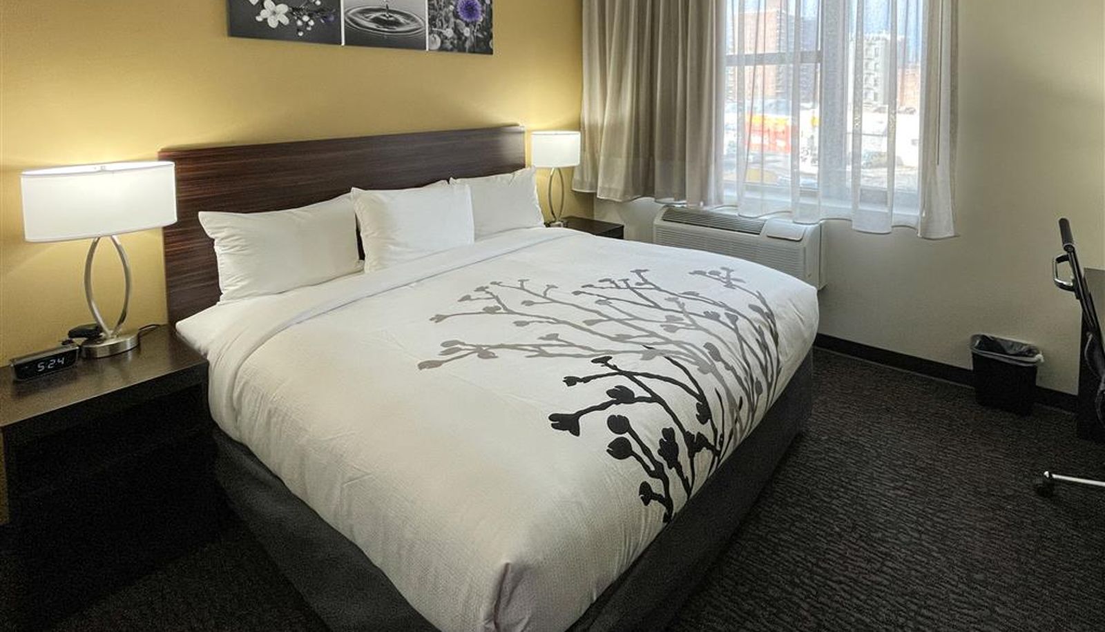 Room - Sleep Inn Bronx - Belmont