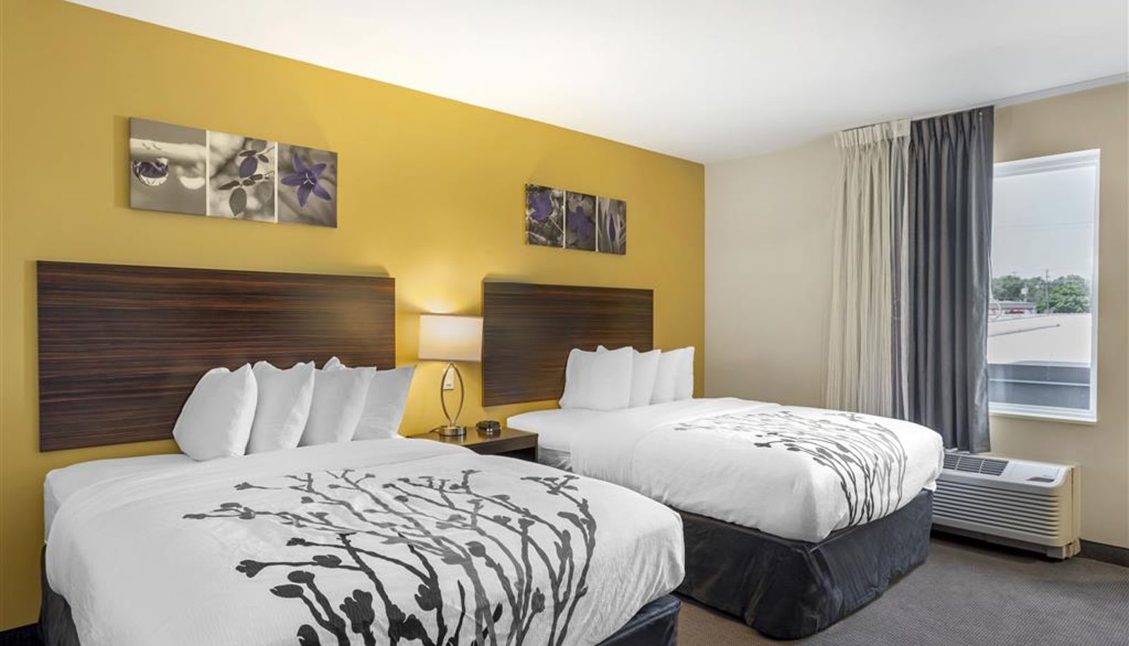 Room - Sleep Inn North - Central York
