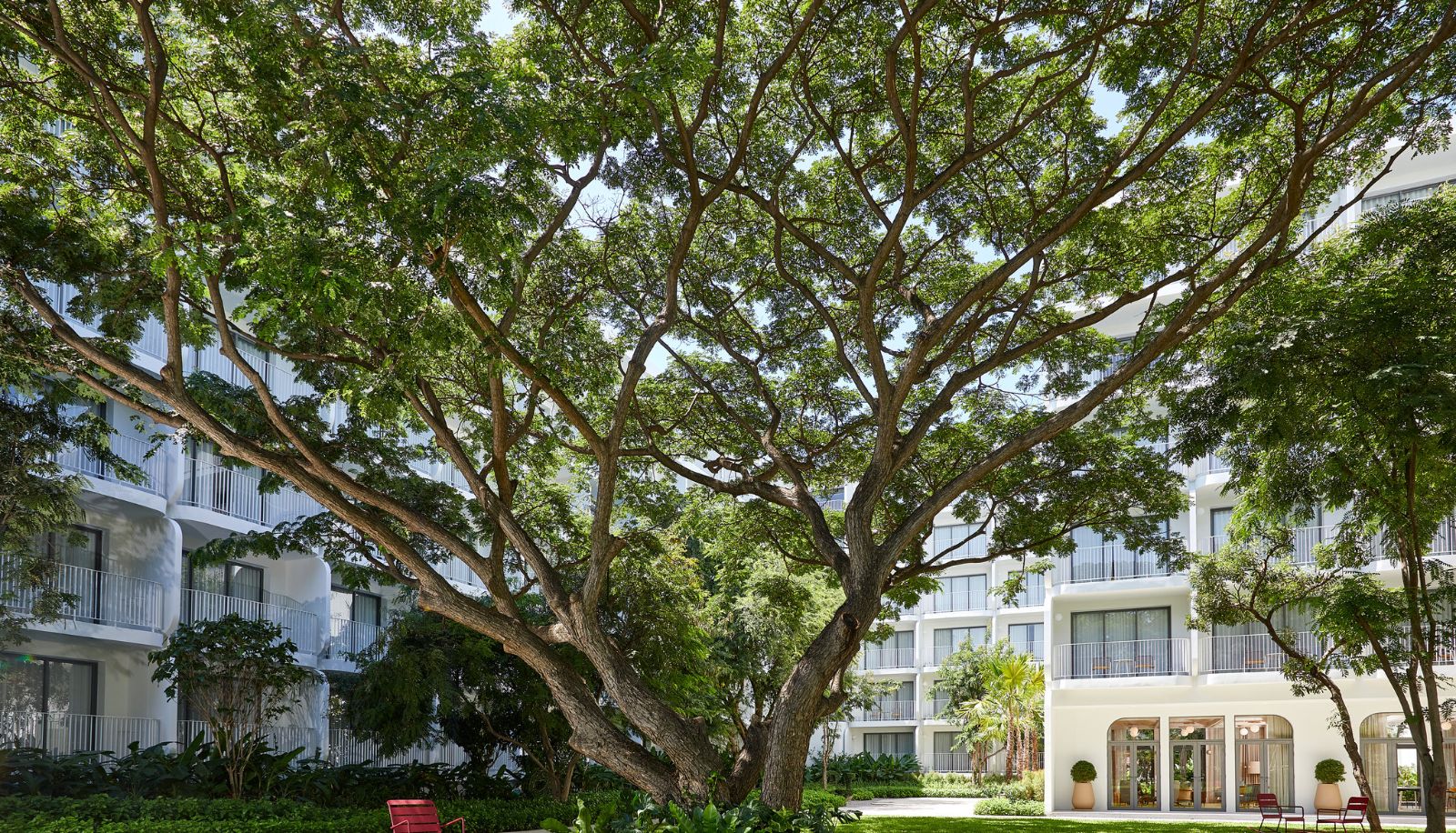 Info - Hua Hin The Standard