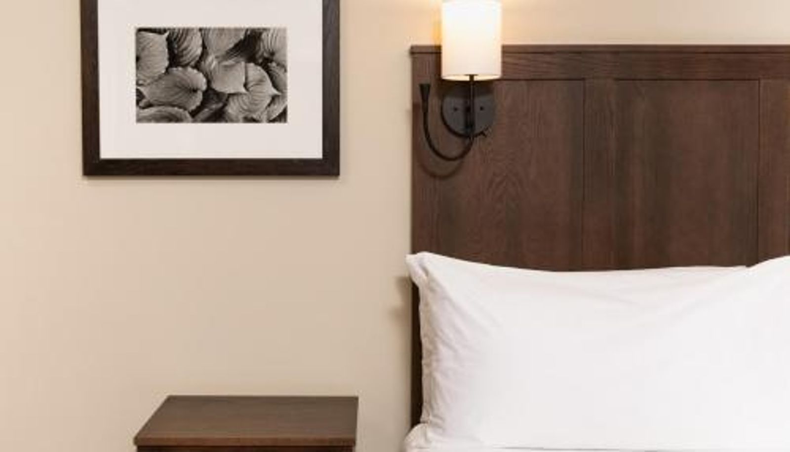 Zimmer - Kanuga Inn & Lodging