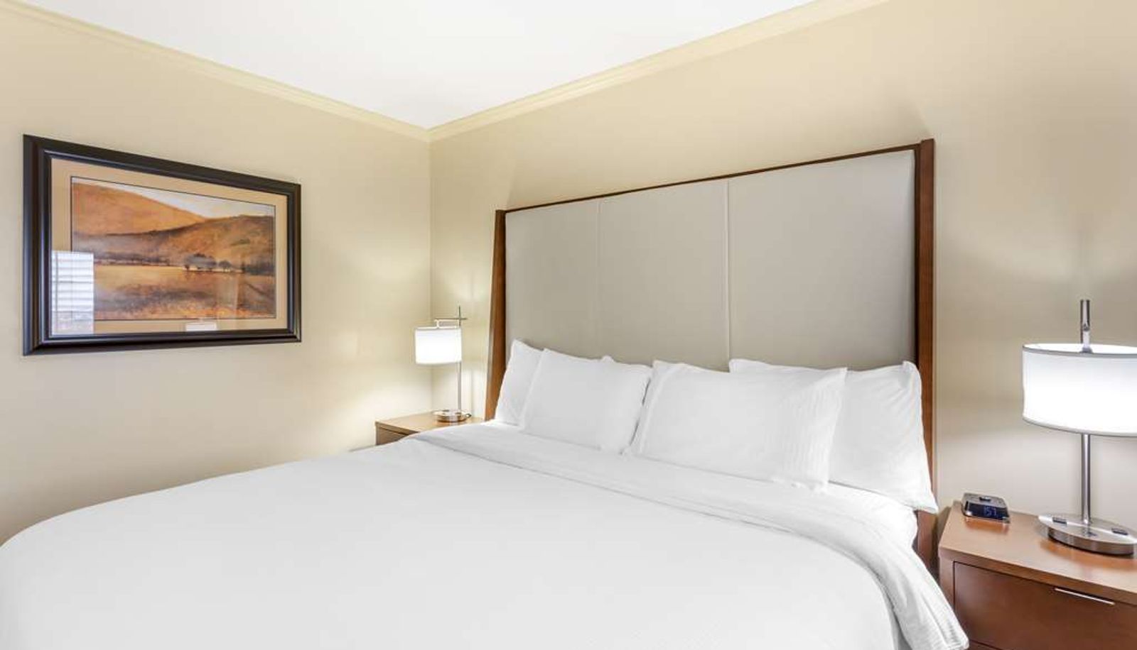 Zimmer - Best Western Plus CottonTree Inn