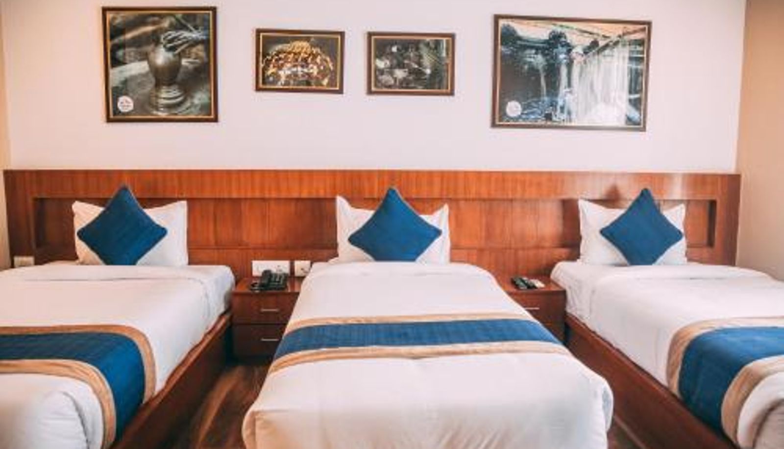 Tripla - Himalayan Suite Hotel