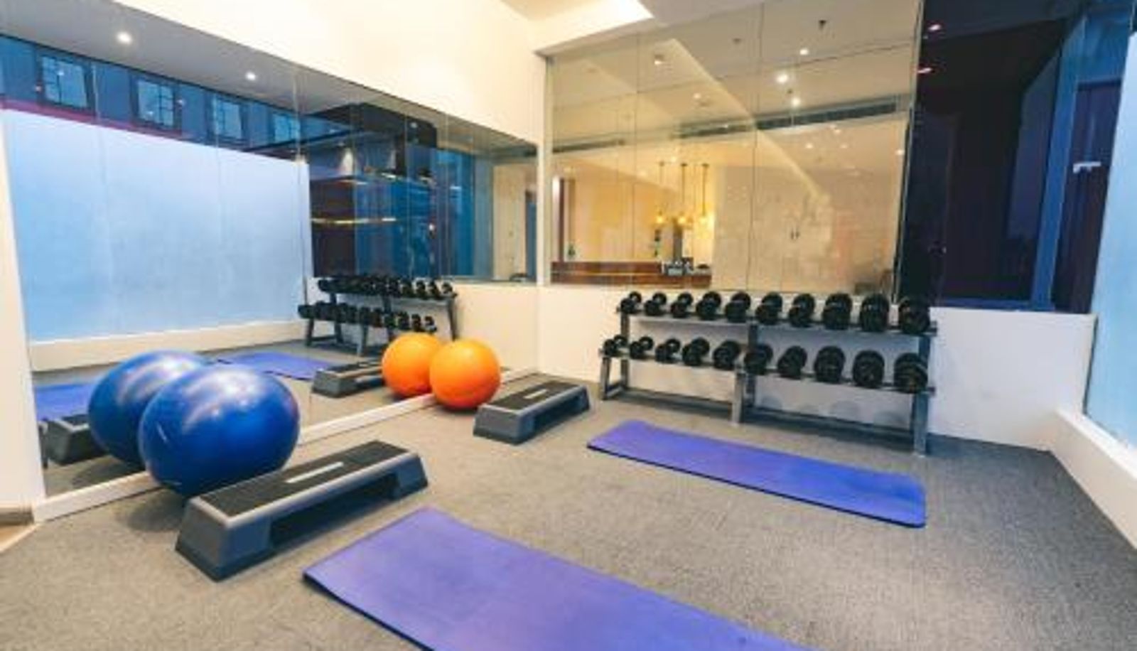 Zona de bienestar y gimnasio - Iridium Hotel