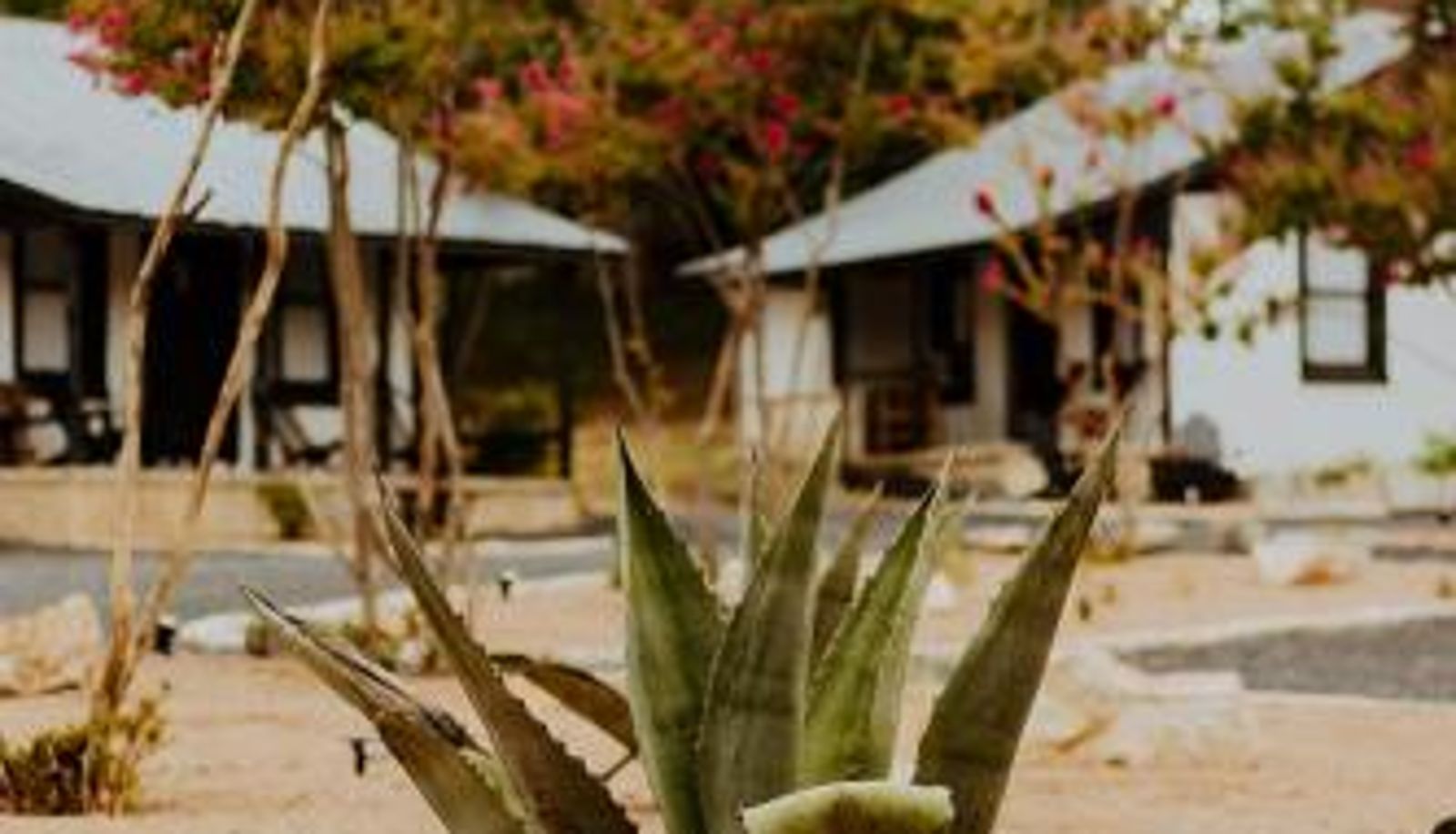 Info - THE VAQUERO MOTEL