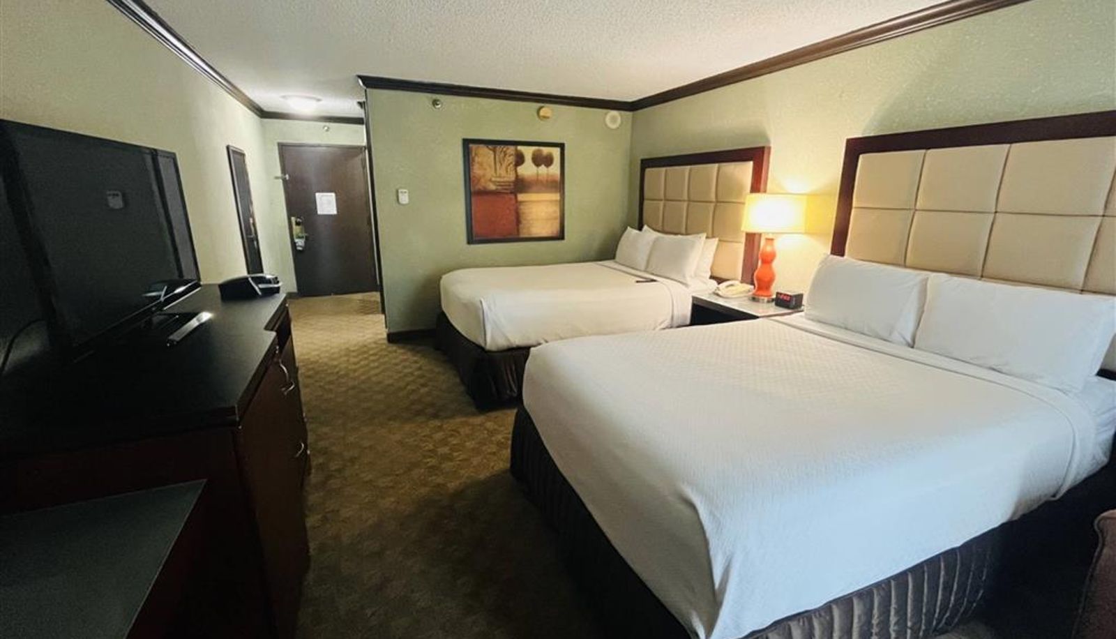 Room - Wingate Houston near NRG Park/Medical Center