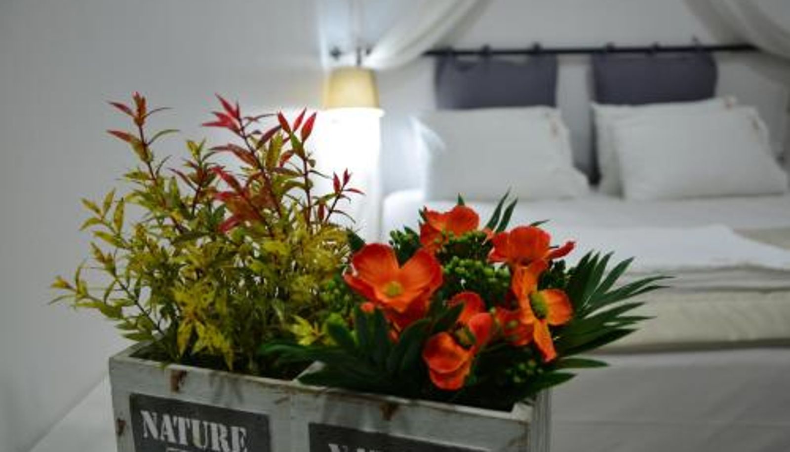 Zimmer - Nova Citrus Otel