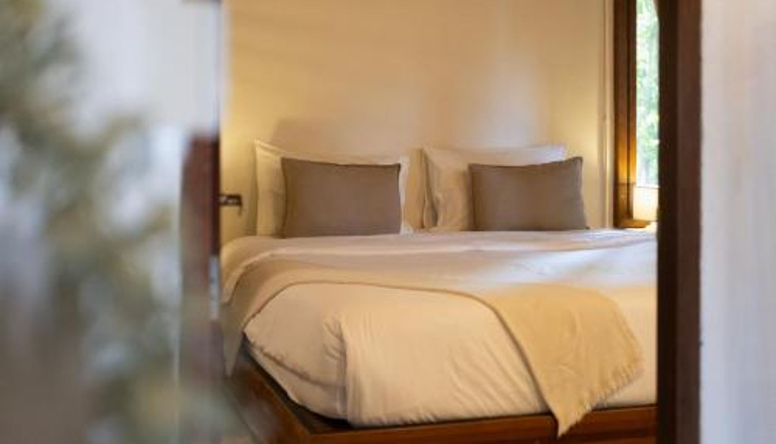 Chambre - Big Tree Boutique Hotel