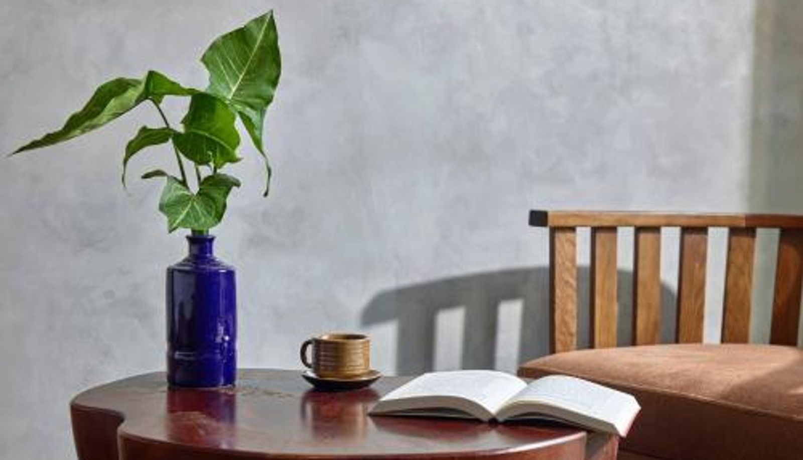 Info - Charm and Nature - Preferred by Western Travelers Draha Halong Hotel - Serenity
