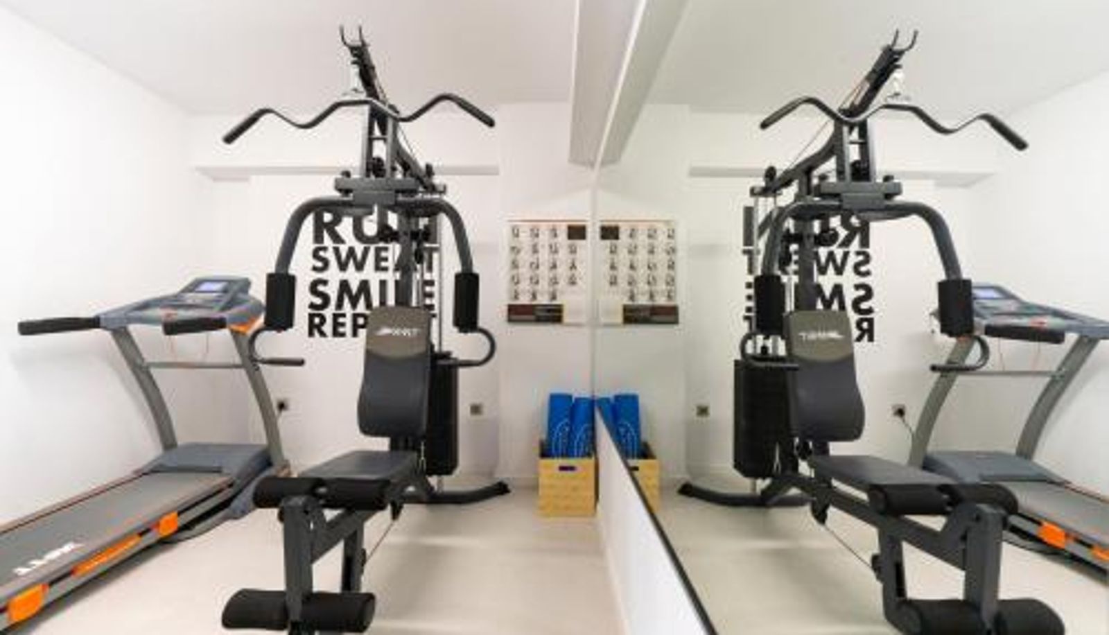 Zona de bienestar y gimnasio - The Anthemion House